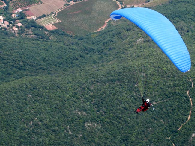 Vissou à tire d’ailes