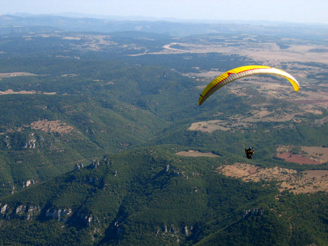 Une bande de vautours à Millau