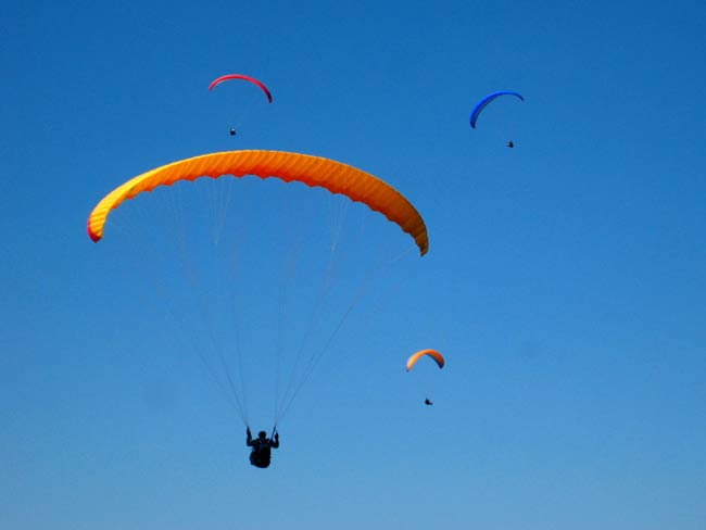Dans le bleu des causses