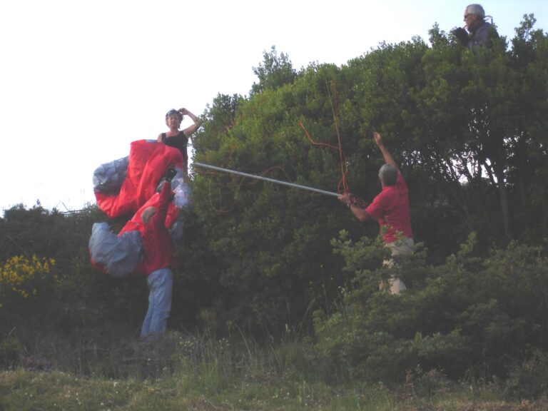 Une tradition s’installe..