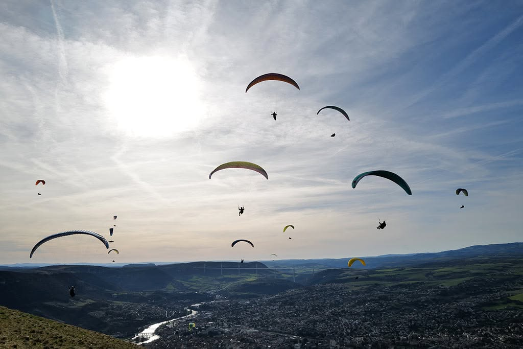Un petit troupeau de cabres s’est rendu à Millau ce…
